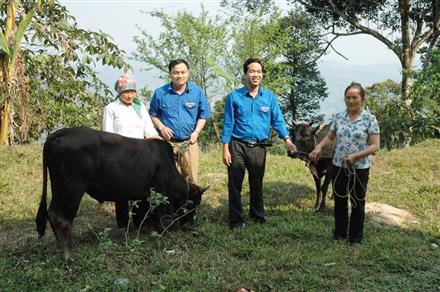 Hiệu quả từ phong trào 'Mỗi đơn vị giúp một xã nghèo miền Tây'