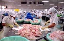 Ưu tiên vốn hỗ trợ phát triển sản xuất, khai thác thủy, hải sản
