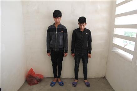 Bắt giữ 3 đối tượng trộm chó