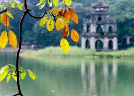 Có phải nhân tài 