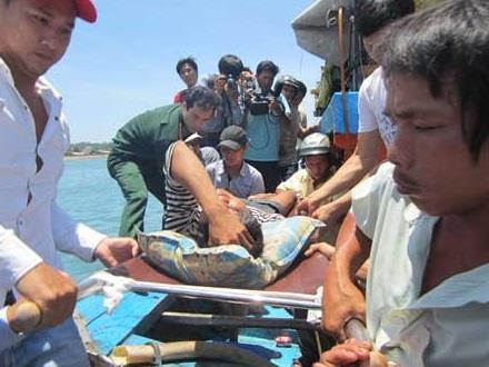 Đưa 2 ngư dân bị kiểm ngư Trung Quốc đánh trọng thương về đất liền chữa trị