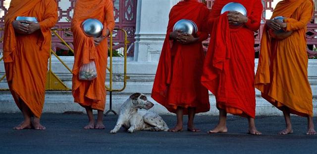 Tu sĩ Phật giáo tại Bangkok, sau cuộc đảo chính quân sự