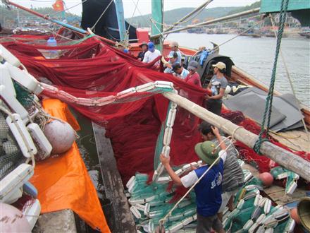 Vững vàng bám biển, vươn khơi