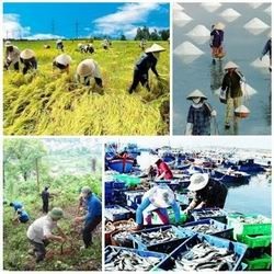 Tiêu chí hộ gia đình nông lâm ngư nghiệp có mức sống trung bình