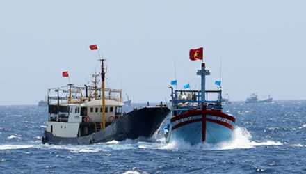 Họ không biết 