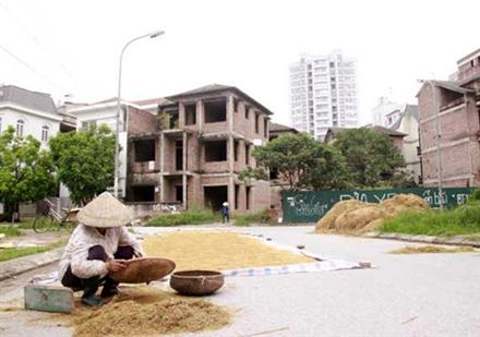 Lão nông chơi sang: Biệt thự triệu đô chỉ để... phơi rơm