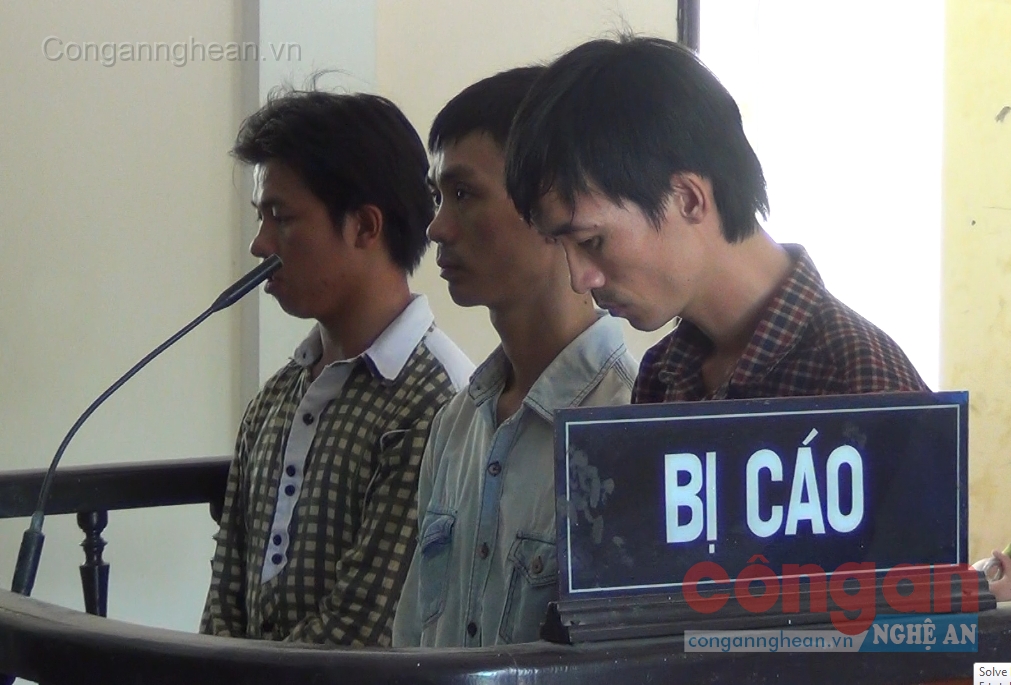 Các bị cáo tại phiên tòa