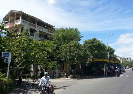 Đại gia vong mạng vì đất