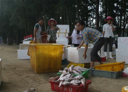 Để ngư dân bám biển, vươn khơi (Bài 3)
