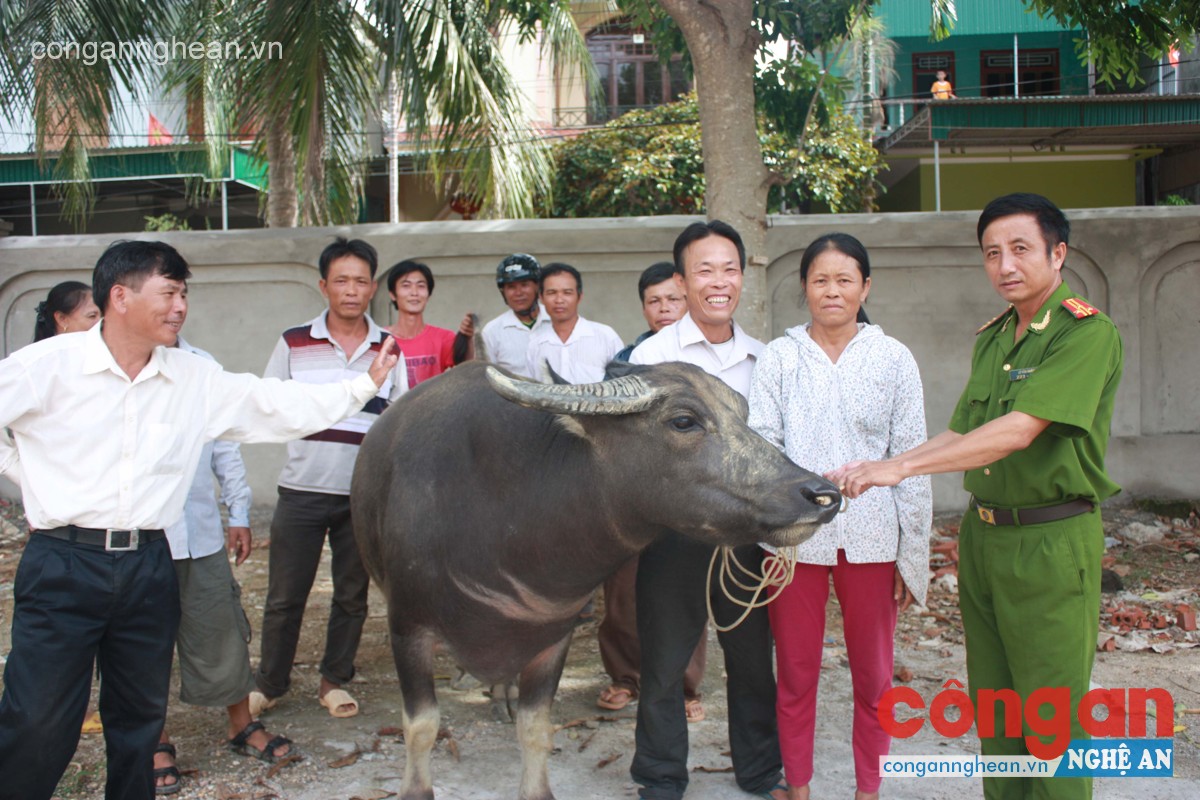 Phá Chuyên án trộm trâu bò