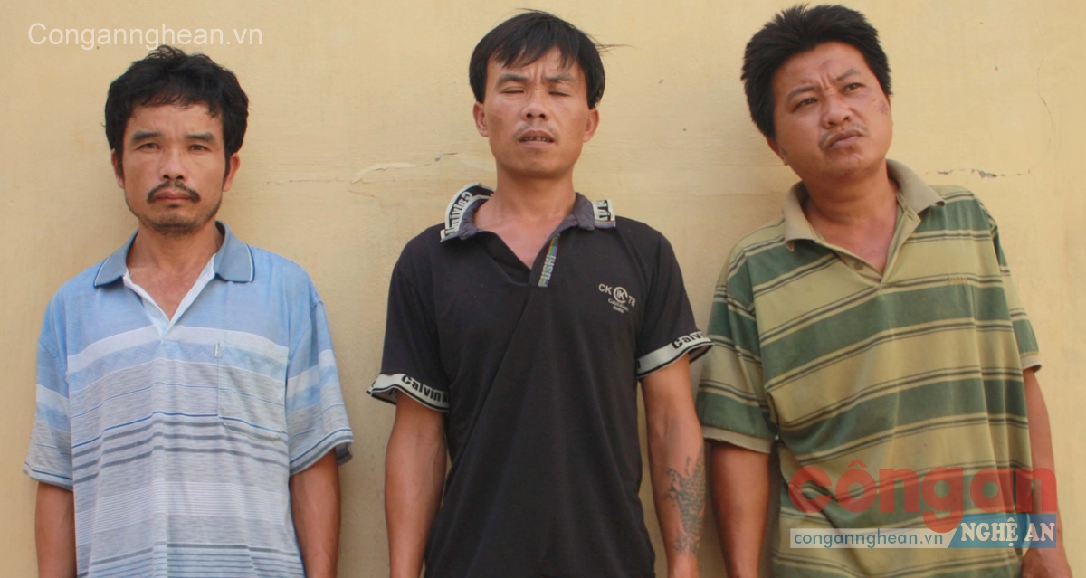3 đối tượng trộm trâu bị bắt