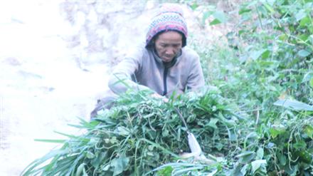 Lòng bao dung của người mẹ mất con sau thảm án giết người
