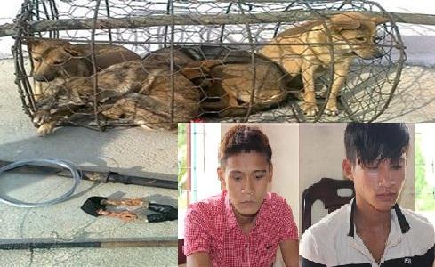 Bắt hai đối tượng câu trộm chó liều lĩnh