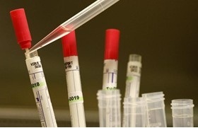 Thuốc chữa Ebola: WHO chính thức 'gật đầu' với ZMapp
