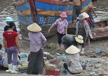 Dù 'bão táp' vẫn một lòng bám biển