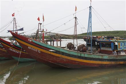 Những nẻo về tươi sáng (Bài 5)