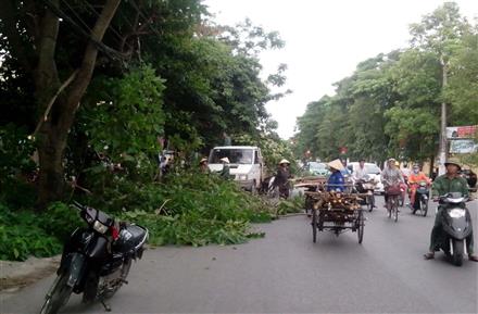 Đồng bộ các phương án phòng chống lụt, bão