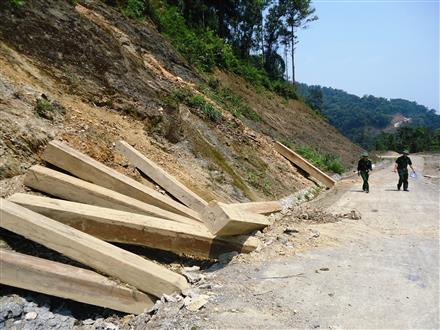 Phát hiện, xử lý nhiều vụ vi phạm pháp luật