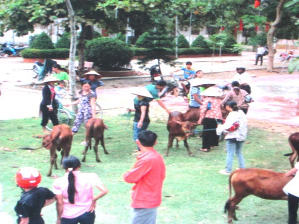 Không cung cấp thông tin cho báo chí vì chưa được phép của nhà tài trợ