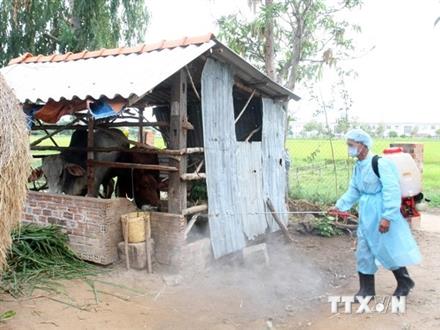 Phòng chống bệnh truyền nhiễm, dịch bệnh phát sinh sau bão