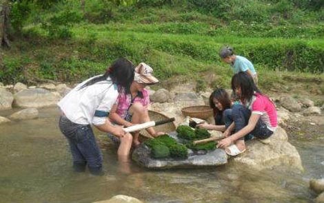 Bí ẩn về 'thung lũng trường sinh' và món ăn từ loài kỳ thảo