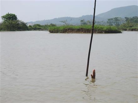 Hà Tĩnh: Biến ruộng thành ao để lấy đất bán cho nhà máy gạch