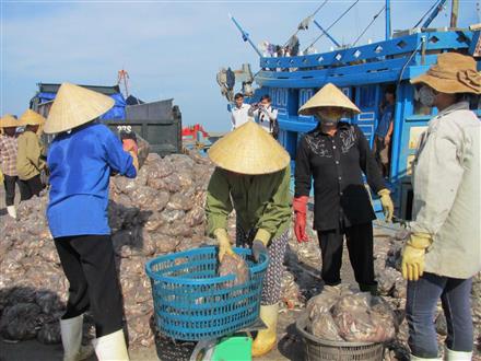 'Cú hích' cho ngành thuỷ sản