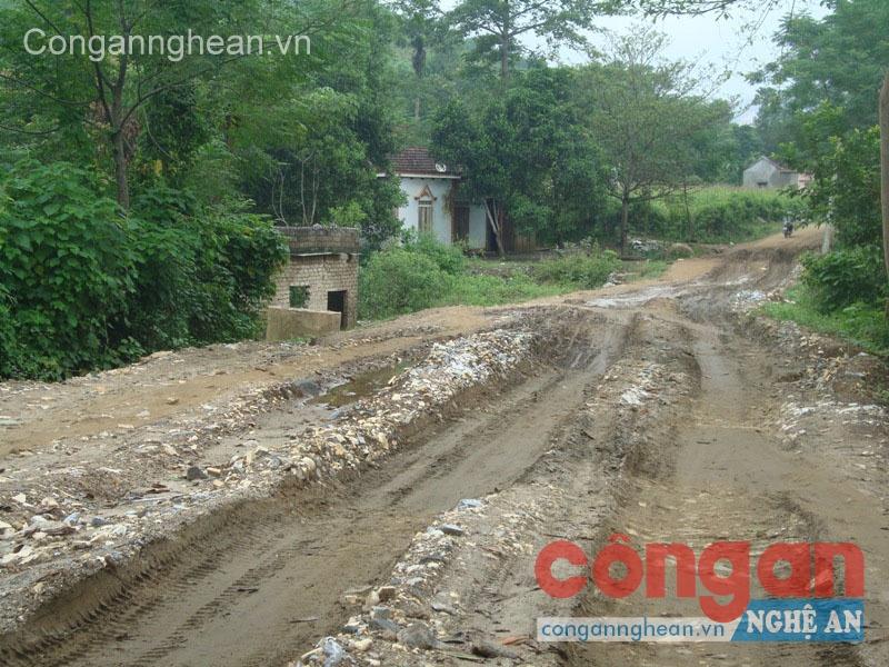 Tập trung phát triển hạ tầng giao thông vùng nguyên liệu