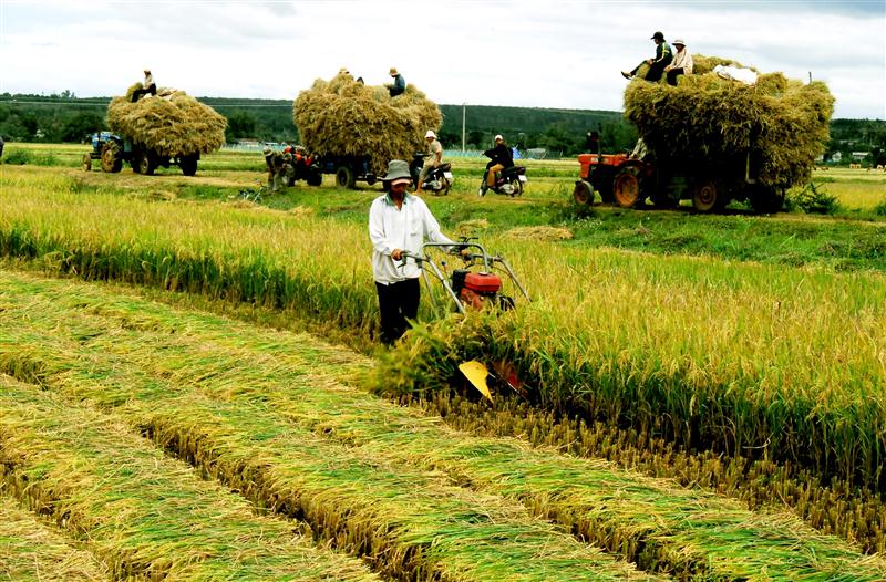 Tin vui từ 'nỗi đau' của Bộ trưởng