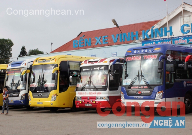 Cước vận tải của các doanh nghiệp đã giảm từ 6% - 15%