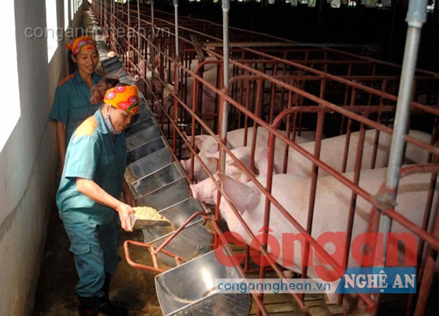 Ưu đãi thuế đối với doanh nghiệp đầu tư vào nông nghiệp, nông thôn (Kỳ 1)