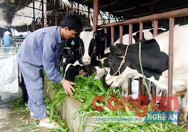 Ưu đãi thuế đối với doanh nghiệp đầu tư vào nông nghiệp, nông thôn (Kỳ 2)
