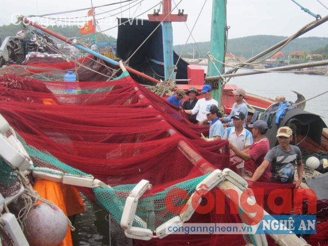 Ngư dân giảm bớt gánh nặng về chi phí