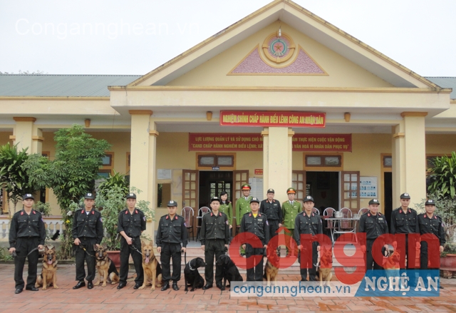 Học tập và thực hiện lời dạy của Bác - Tận tụy với công việc