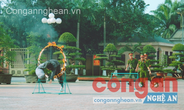 Phát huy năng lực đặc biệt trong công tác đấu tranh phòng chống tội phạm