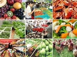 Thủ tướng chỉ thị đẩy mạnh bảo đảm an toàn thực phẩm