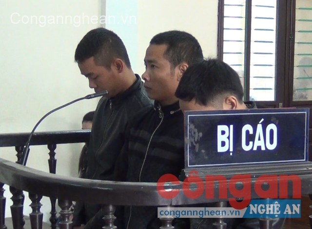 Các bị cáo tại phiên tòa