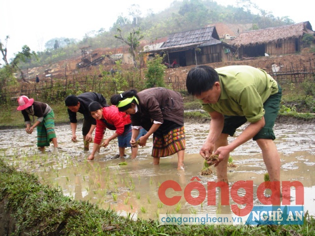 Dấu ấn cán bộ tăng cường