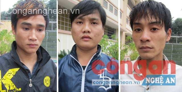 Cuộc săn lùng các đối tượng trong đường dây mua bán cần sa xuyên Việt