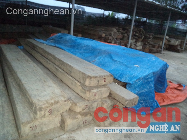 Trên 1.000 vụ vi phạm lâm luật bị bắt giữ, xử lý