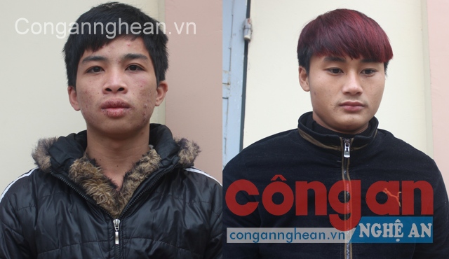 Hai nam sinh viên gây ra 7 vụ cướp giật tài sản