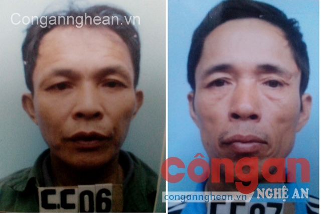 Bắt đối tượng trộm trâu, bò