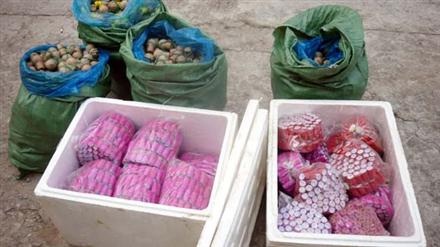 Liên tiếp bắt giữ nhiều vụ mua bán pháo nổ