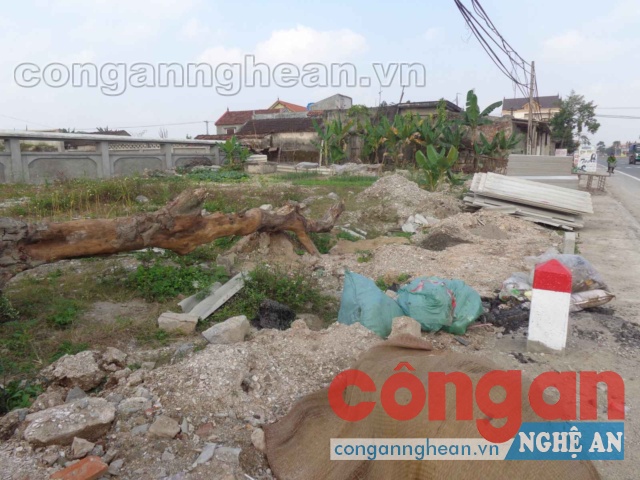 Di chỉ khảo cổ học Cồn Điệp biến thành bãi rác