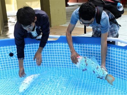 Dành tối thiểu 3% nguồn thu học phí cho sinh viên nghiên cứu khoa học