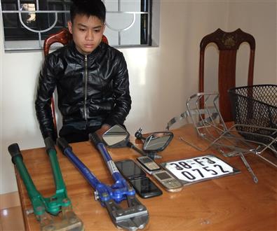 Hà Tĩnh: Bắt đối tượng gây ra 8 vụ trộm cắp trên địa bàn liên huyện