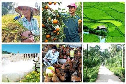 Khuyến khích doanh nghiệp đầu tư vào nông nghiệp, nông thôn