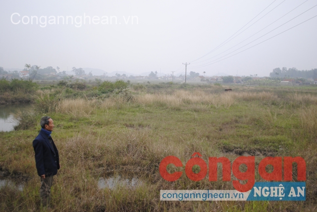 Vùng đất đấu thầu Eo Trên trở nên hoang hóa trong khi người dân  không có đất sản xuất