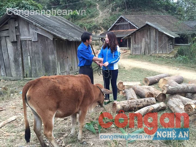 Trao quà cho đoàn viên thanh niên và học sinh nghèo huyện Kỳ Sơn