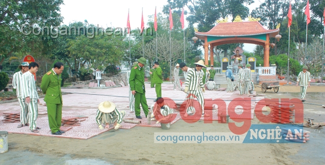 Chỉnh trang khuôn viên đơn vị